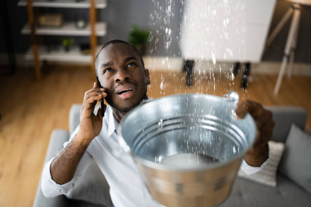 Best Water damage contractors near me  in Postville, IA