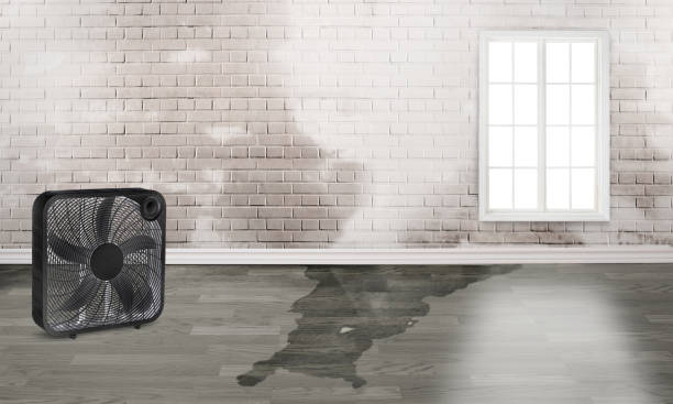 Reliable Postville, IA Water damage restoration Solutions